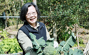 「理由很潦草」卻改變台灣！蔡英文：因他在哭　意外開啟8年總統之路