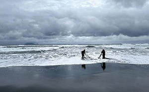 違規現罰15萬！3/1起全台禁捕鰻苗   漁業署：「這2縣市」除外