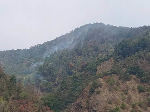 南投埔里森林延燒11天擴達40公頃　陸空全力搶救