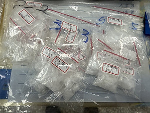 高市刑大破獲組織化販毒集團  7人遭羈押