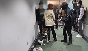 警犬立功　2女私密處藏384克毒品入境遭逮