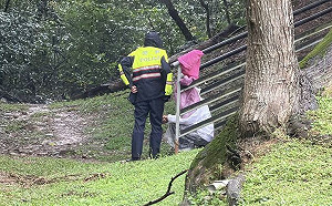 桃園傳18歲女廁所產子埋屍公園！檢警追查中 