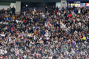 大聯盟官網記者看台灣球迷熱情：點亮東京巨蛋