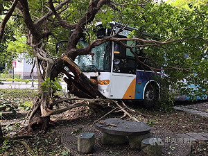 北市公車自撞路樹釀多人傷  首都客運允負全責