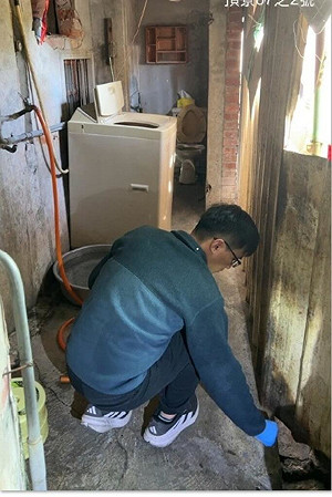 雲林家犬疑遭捕捉宰殺　2男涉案函送偵辦