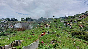 掃墓高峰期　消防署籲以米代金環保祭祀