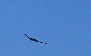 參與中東任務？美神秘RQ-180隱形高空長航時偵察無人機「現身」希臘