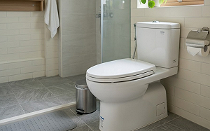 大便太用力小心馬桶上猝死！醫師「這三點」提醒：心血管疾病者要注意