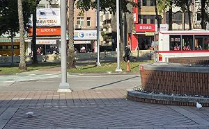 南部熱如夏、北台要轉涼了！氣象署曝一週「三段變天」雨區一次看