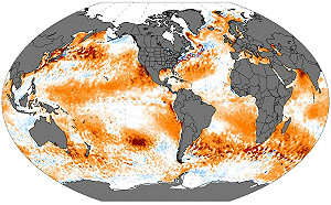 海溫創歷史新高！鄭明典1圖示警：全球暖化回不去了
