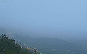 濃霧警報！金門交通中斷  小三通航線暫停航駛