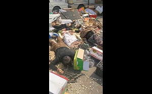 (影)中國再度發生無差別攻擊事件! 北京市集遭推土機衝撞釀多人死傷