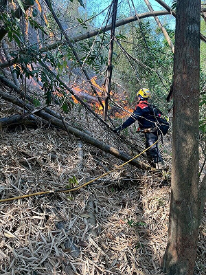 美濃公墓大火延燒山林獲控制 陳其邁籲掃墓落實防火