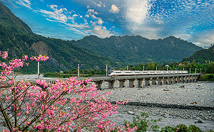 清境、阿里山都能去！Taiwan PASS升級版4/1開賣 一票搞定15景點交通