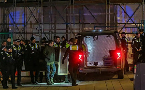 近30年首例！孤狼獨闖德國第二大城漢堡市購物區咬傷女子