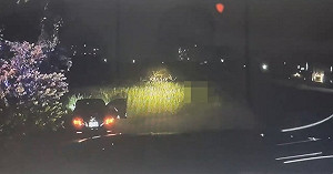 南警深夜攔檢自小客　逃逸越籍移工駕駛棄車逃離