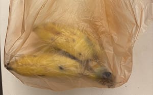 李四川憂美伊戰爭衝擊塑膠業　籲提防無預警無薪假／盼台灣永遠免於戰火