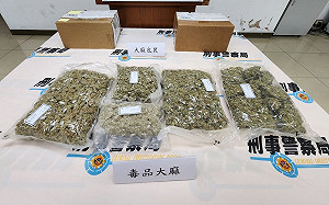 國際郵包藏3公斤大麻入境　屏東查獲運毒集團
