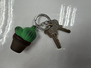 高雄議員參選人看板遭刮損　男稱等公車臨時起意