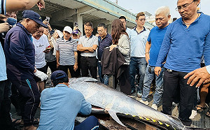 習近平稱歡迎台灣農漁產品  農業部：中方屢設限不符國際規範