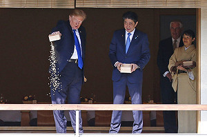 川普餵魚霸氣倒飼料被罵翻?影片解答：安倍先倒的