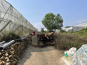 南投埔里噴藥車翻覆 50歲印尼移工被壓傷不治