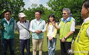 麻豆文旦連兩年受災　郭國文促速啟動救助評估機制助柚農恢復元氣