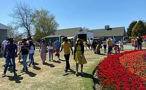 引進印度移工會讓台灣成「性侵島」？翁達瑞：中國通報數更高