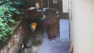 猴硐辣椒水噴貓案　瑞芳警逮犯嫌稱心情差