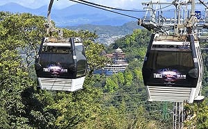 別白跑！貓纜明起檢修停駛5天 4/25恢復營運