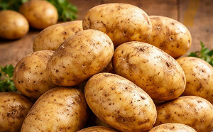 美國馬鈴薯進口  吳焜裕：抑制發芽劑有毒性、應驗抵台殘量