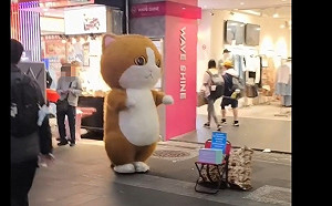 西門町「布偶貓」爆紅遭檢舉！警盤查「未持街頭藝人執照」下場慘了