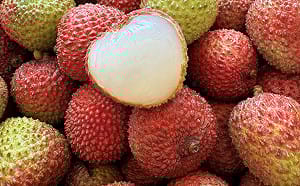 大樹玉荷包年產季僅14天    霸王級規格晉「國際級精品」