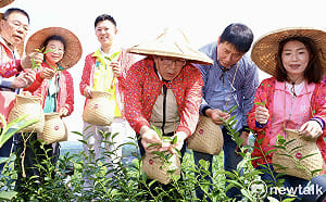 黃偉哲宣布「台南茶」誕生  東山採收首批茶葉開啟茶產業新契機
