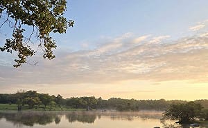 立夏就在5月5日！柯柏成點名：2生肖偏財運旺、這3個月生日可買彩券