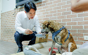 陳佩琪譏賴清德愛犬「斑斑」殘障  美女主播怒嗆：妳老公腳上腳鐐是自找的！