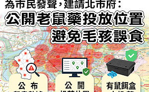 鼠患延燒又爆投藥疑慮 吳沛憶喊話北市府：先做好3件基本功 