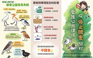北市鼠患引關注　公園處加強取締餵食野生動物最高罰6000元 