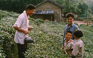 台灣今年唯一！經典國片《魯冰花》上映37年後入選坎城影展