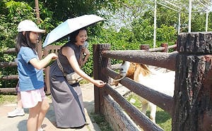 壽山動物園搶攻最強親子檔期    母親節女性與12歲以下兒童免費入園