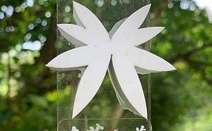 曾罵過蕭青陽設計  張景森：我看不出大師字體比台電臨摹的好