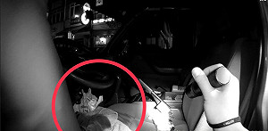 中市警啟動路檢大執法專案  查獲毒駕男送辦