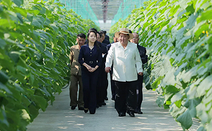 北韓大秀建設成績單！金正恩視察超大溫室農場 : 讓人民穩定吃上蔬菜
