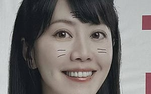 高嘉瑜、游淑慧等港湖議員參選人看板被畫成小花貓　網友讚「滿可愛」