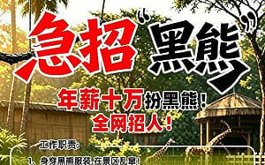 真的是工讀生扮的！河南動物園開出10萬人民幣年薪招聘「黑熊」