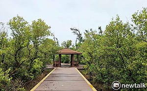 雙春濱海遊憩區木棧道完工  串聯台版亞馬遜生態秘境  打造濱海旅遊新亮點
