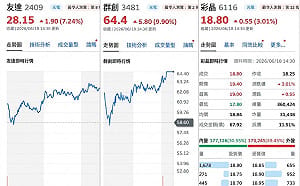 蘇元和觀點》不只賣螢幕！台積CoPoS革命來了 面板三喵突然翻身？