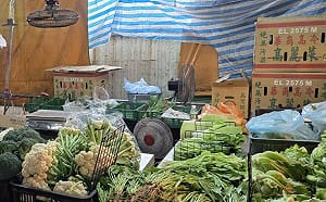 中國蔬菜洗產地銷台？專家挖出「北農105年報告」　揪出牽線人是他