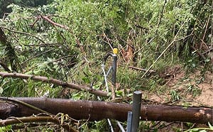 豪雨侵襲全台交通大亂！台鐵延誤77列次 高鐵樹倒觸發告警系統