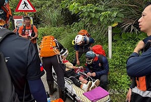 新北貢寮30多人登山遇蜂群　4人遭螫傷送醫